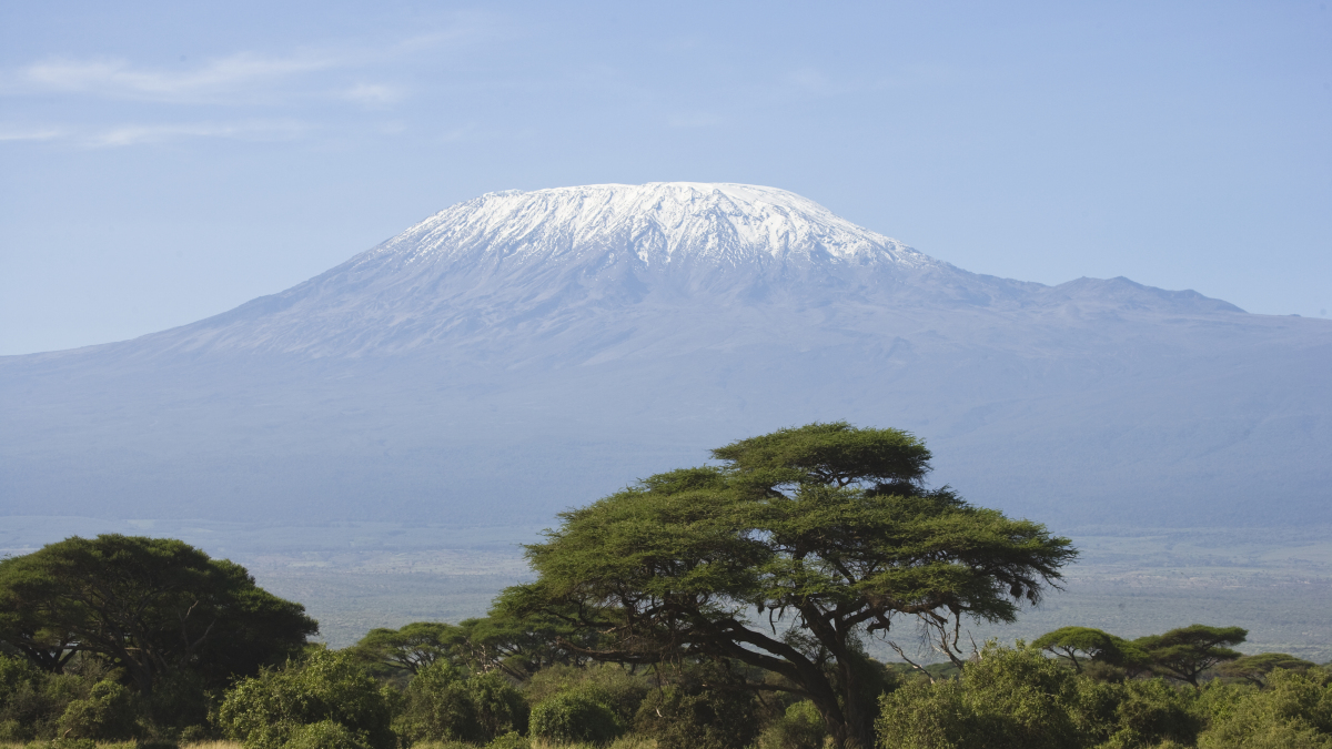 Les influenceurs se réjouissent alors que le Kilimandjaro reçoit une mise à jour Internet haut débit