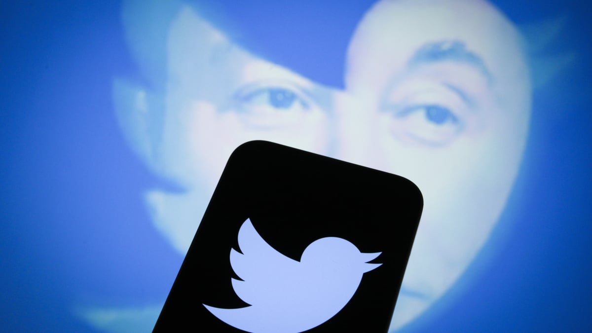 Twitter lance le plan API "Pro" pour les "startups".  Les développeurs pensent que c'est une gifle.