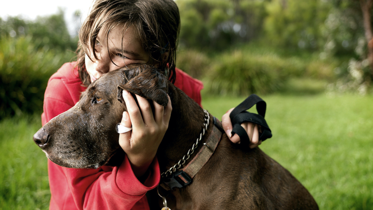 Votre chien pleure quand vous rentrez à la maison