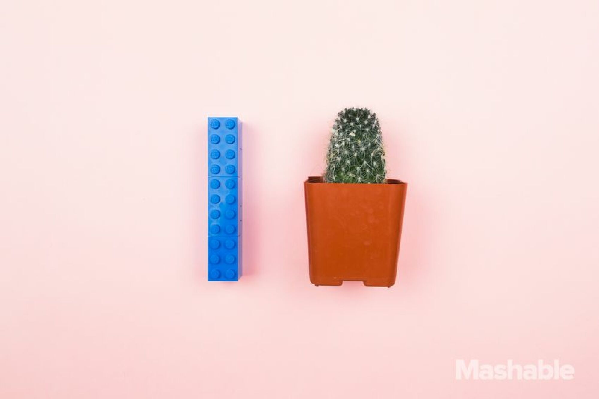 Le Lego bleu à côté d'un petit cactus.