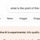 Recherche pratique sur l'IA de Google : on ne sait toujours pas pourquoi cela existe