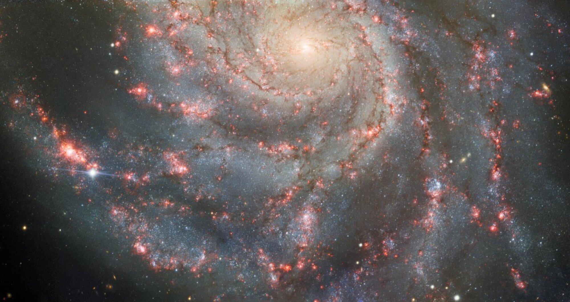 Une explosion de supernova repérée dans la galaxie Pinwheel.