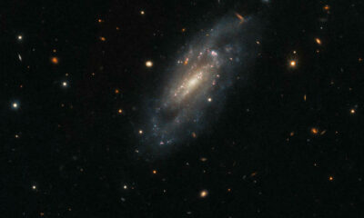 Hubble capture une galaxie apparemment paisible.  Ne soyez pas dupe.