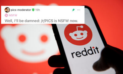 La protestation de l'API de Reddit vient d'avoir encore plus de NSFW