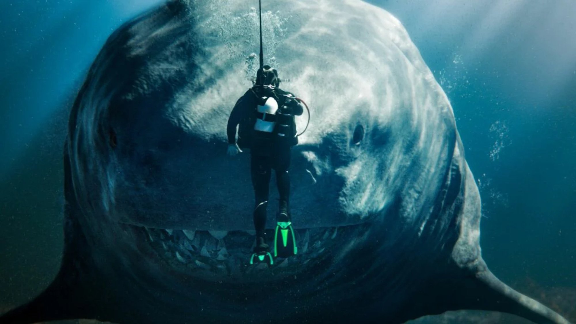 Un plongeur flotte devant un requin géant. 