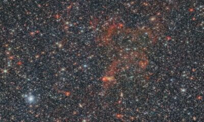Le télescope Webb regarde dans une galaxie qui intrigue depuis longtemps les scientifiques