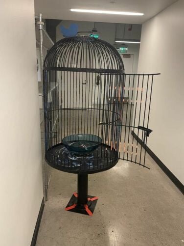 Cage en fer forgé noir avec une porte ouverte.  Un oiseau Twitter est soudé sur le dessus et il y a un bol à l'intérieur avec de l'acrylique transparent, fait pour ressembler à de l'eau.