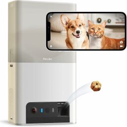 Petcube Bites Lite 2