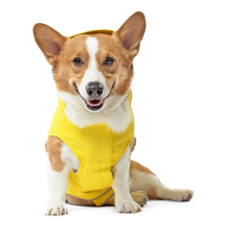 Chien portant une veste de pluie Canada Pooch