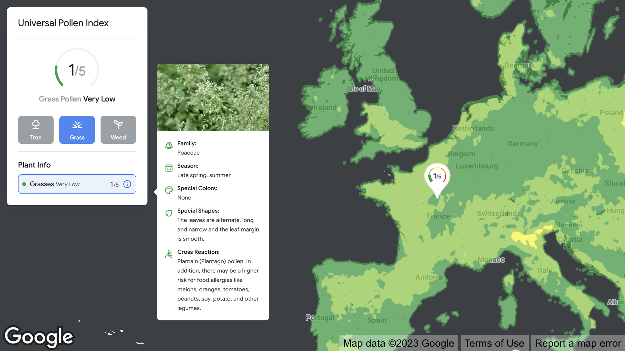 Une carte thermique de couleur verte de l'Europe avec des informations sur l'indice pollinique superposées en haut.