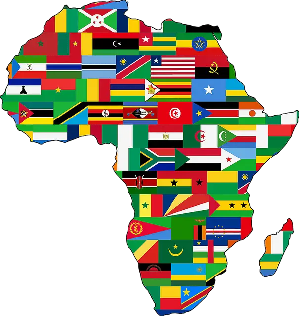 Le TOP 10 des plus grands pays d’Afrique