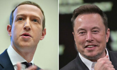 Mark Zuckerberg dit à Elon Musk de devenir "sérieux" ou le combat en cage est terminé