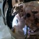 Un astronaute de la NASA révèle le stress du plus long vol spatial américain