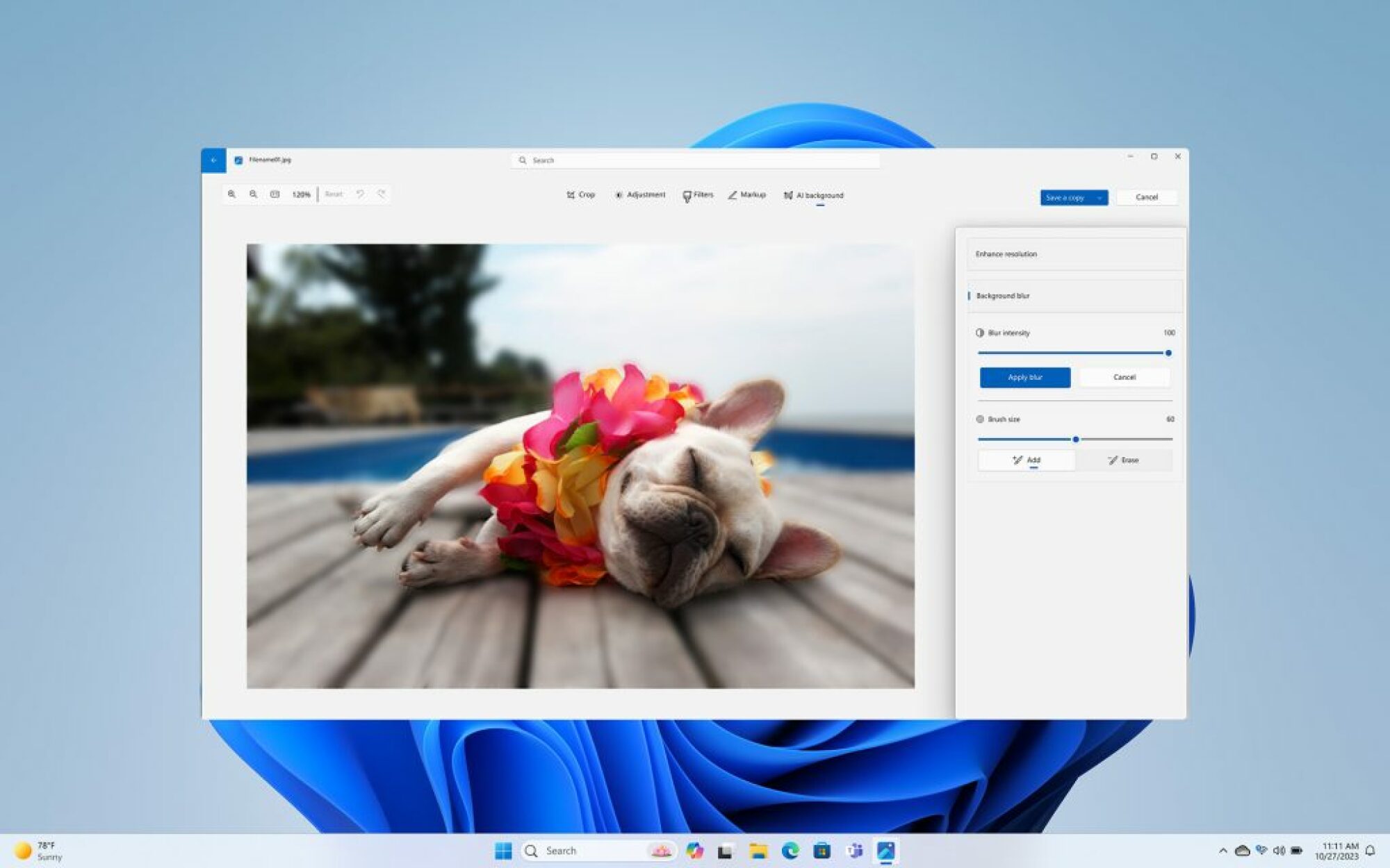 Application Photos Windows 11