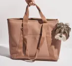 Le sac de transport Wild One dans la couleur saisonnière Cacao, avec un chien à l'intérieur soutenu par un humain.