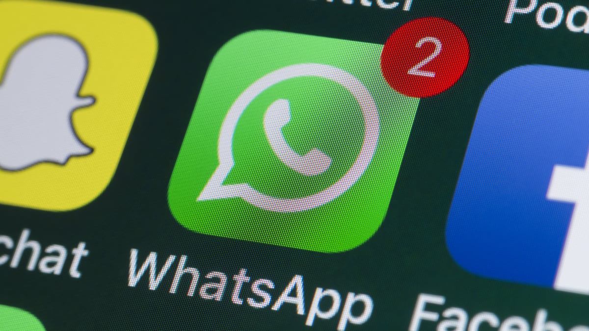 WhatsApp pourrait enfin disposer d'une application iPad native.  Voici comment nous le savons.