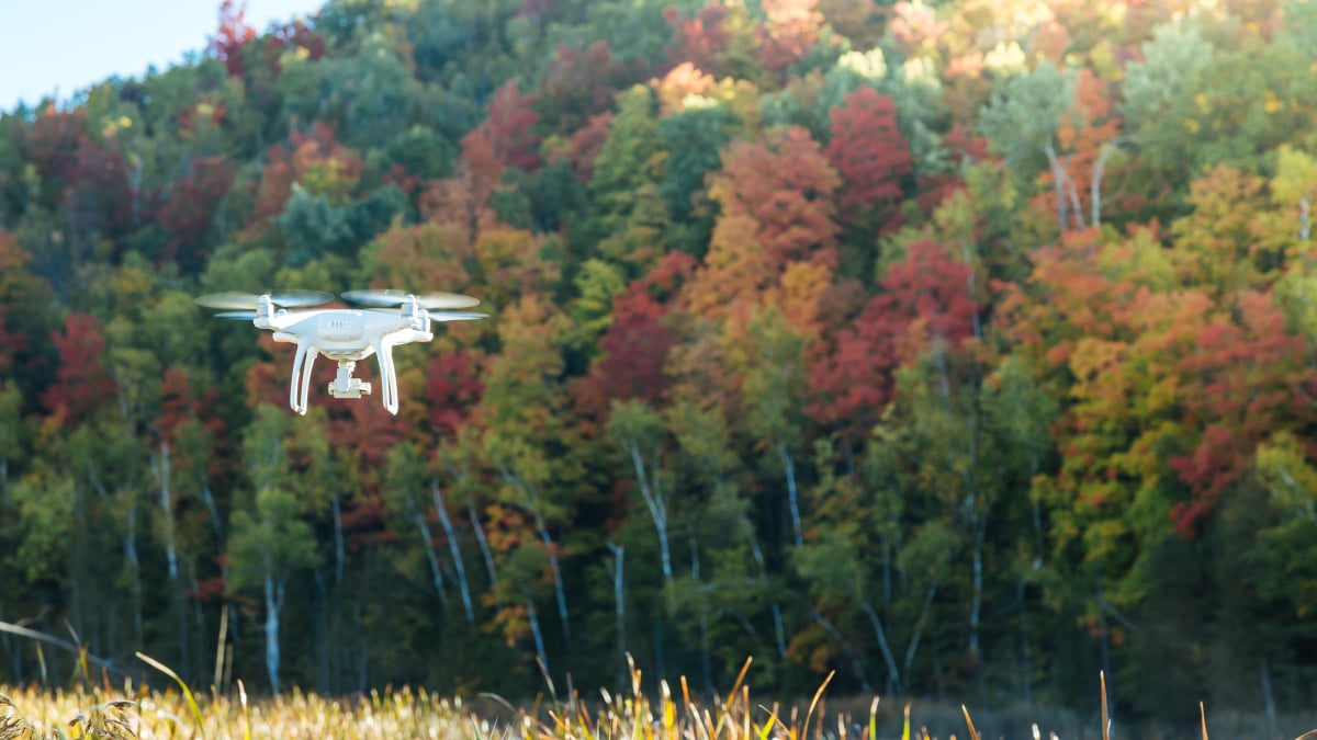 Les offres Early Prime Day sur les drones propulseront votre photographie vers de nouveaux sommets