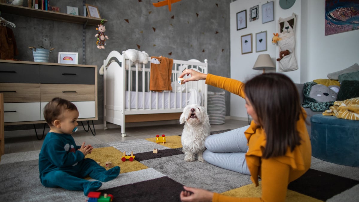 Les offres Prime Day pour les parents (et leurs enfants) incluent des babyphones, des purificateurs d'air et des tablettes Fire