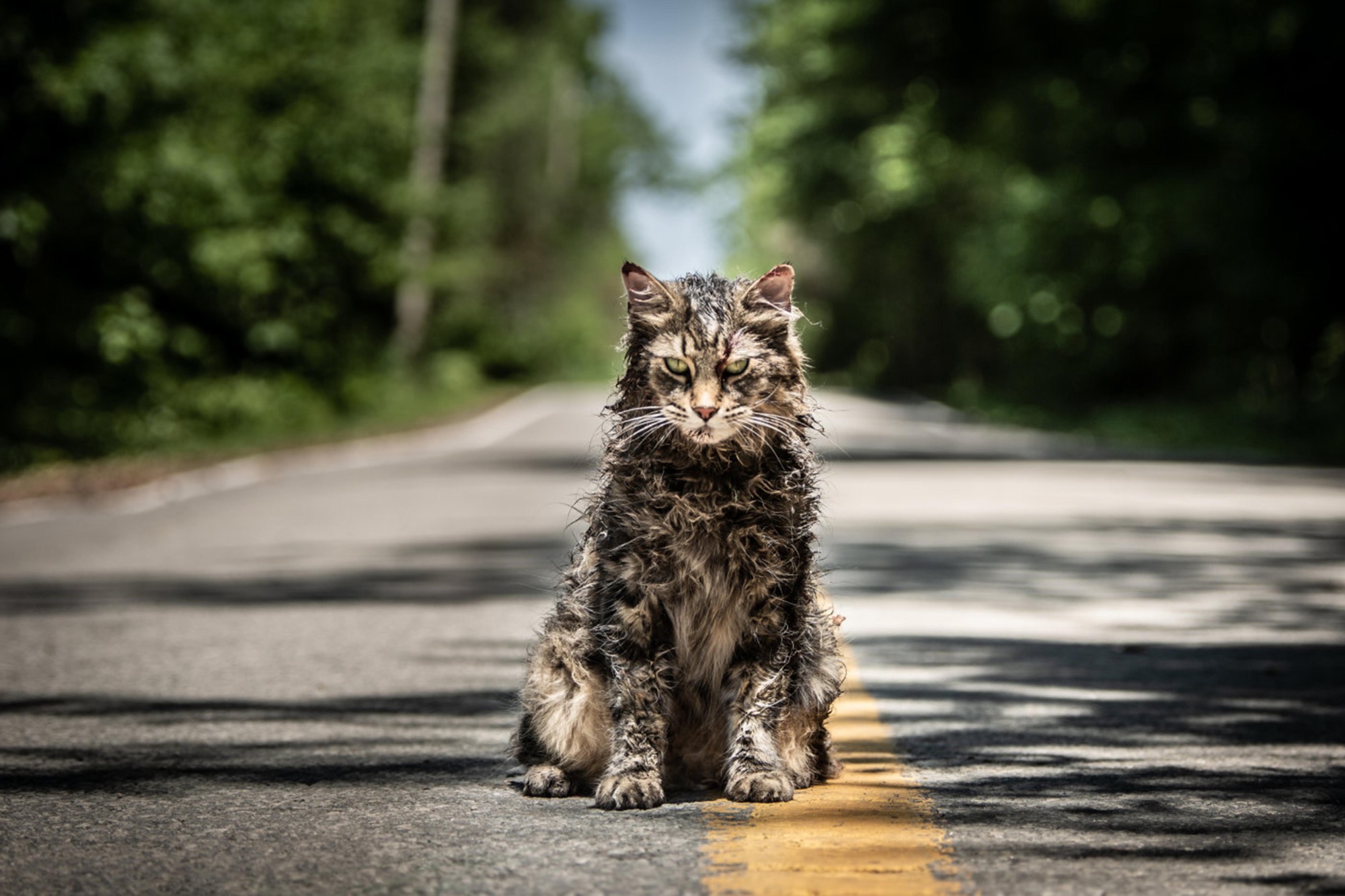 image promotionnelle de Pet Sematary (2019)