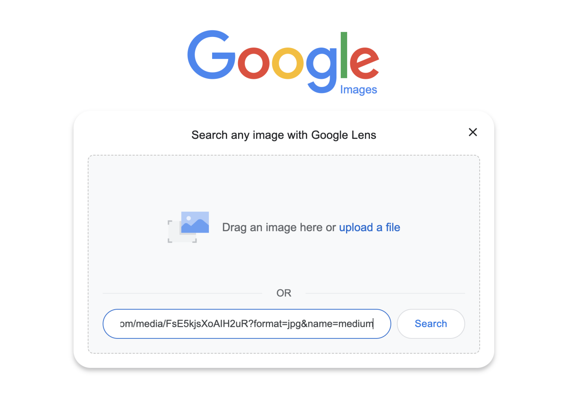 Une capture d'écran de images.google montrant un lien collé dans la section de téléchargement de photos.