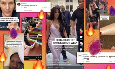 La tendance la plus chaude de TikTok ?  L'hystérie des punaises de lit.