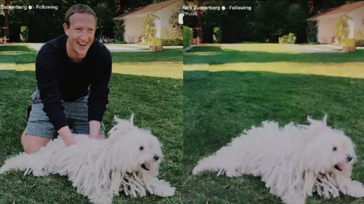 Le nouvel outil d'IA de Meta vous permettra d'ajouter un chien sur chaque photo