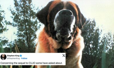 Stephen King dévoile un extrait de la suite de "Cujo"