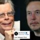 Stephen King trolle Elon Musk à propos de son nouveau chatbot IA