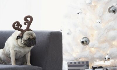 12 chansons de Noël tristes pour votre enfant emo intérieur