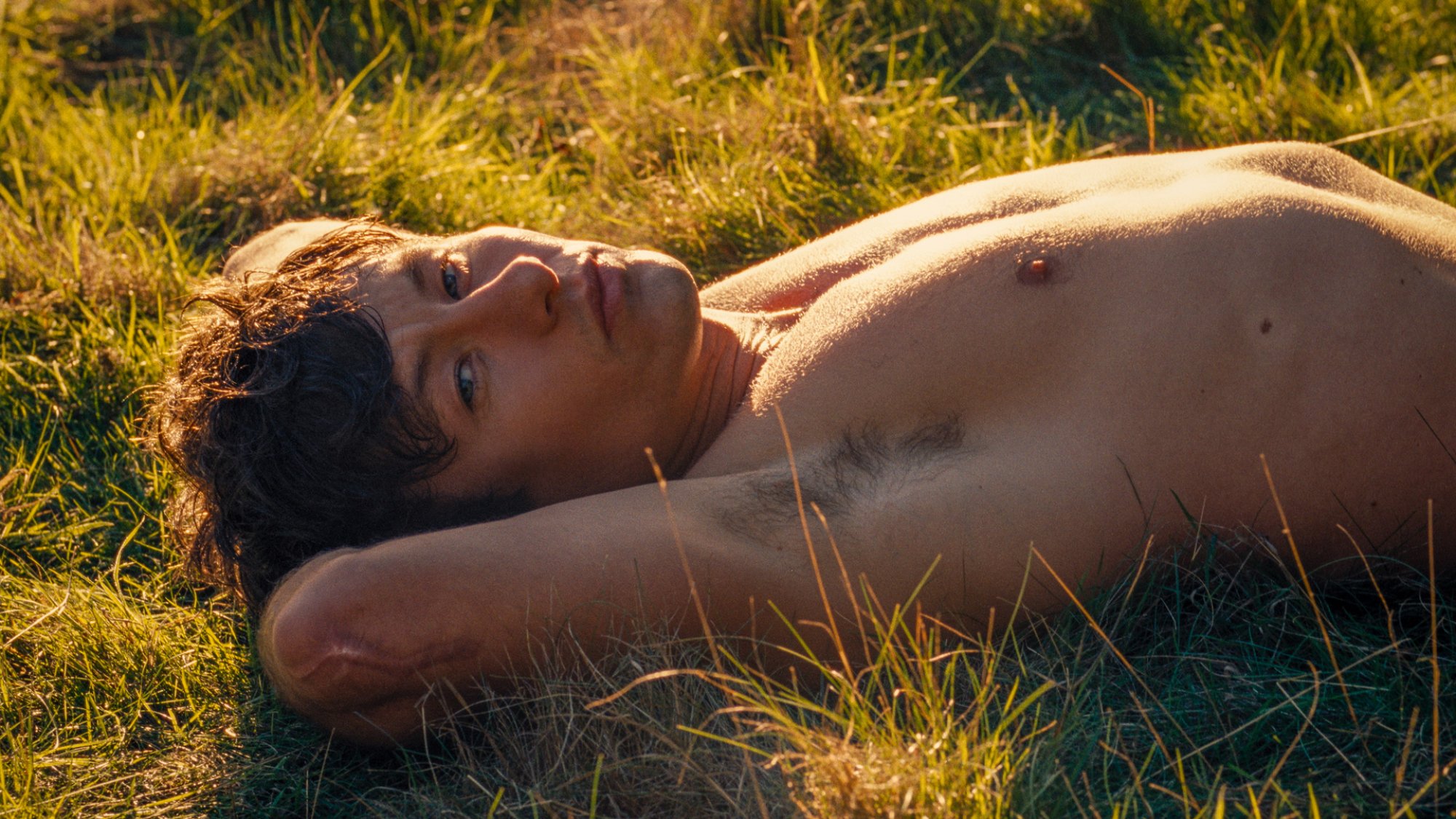 Un jeune homme sans chemise est allongé sur l'herbe et regarde la caméra.