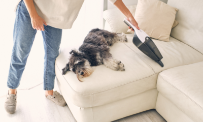 Obtenez jusqu'à 39 % de réduction sur les aspirateurs et éliminez les dégâts des animaux comme un pro