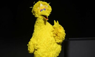 Big Bird est soudainement devenu petit et tout le monde en ligne est concerné