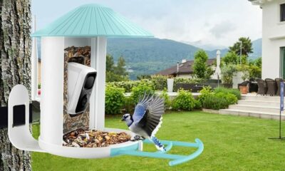 Liez-vous d'amitié avec les oiseaux du quartier pour moins de 150 $ avec le Birdfy Feeder