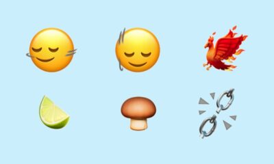 iOS 17.4 bêta ajoute 118 nouveaux emoji.  Celui du phénix est le feu.