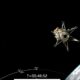 Regardez SpaceX lâcher gracieusement un atterrisseur lunaire dans l'espace