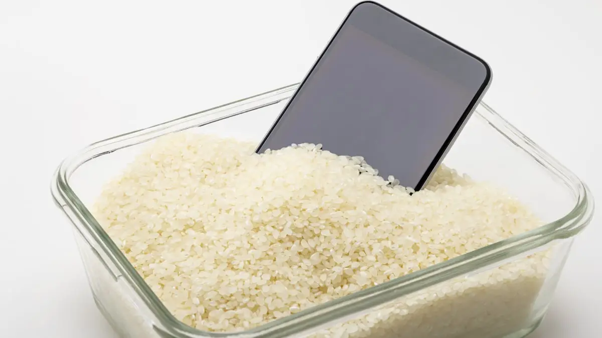 Arrêtez d'utiliser du riz pour sauver votre téléphone mouillé, prévient Apple.  Que faire à la place.
