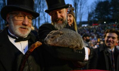 Hiver ou printemps ?  Punxsutawney Phil s'empare d'Internet le jour de la marmotte