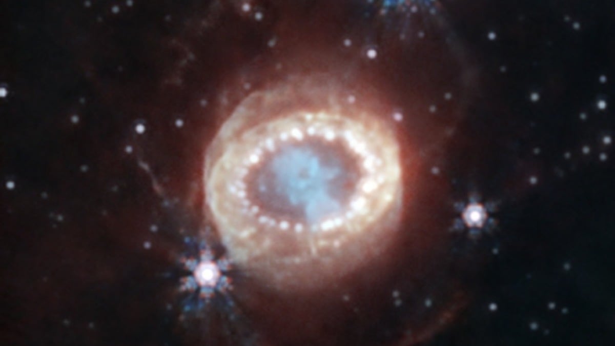 Le télescope Webb vient de trouver le Saint Graal dans une célèbre supernova