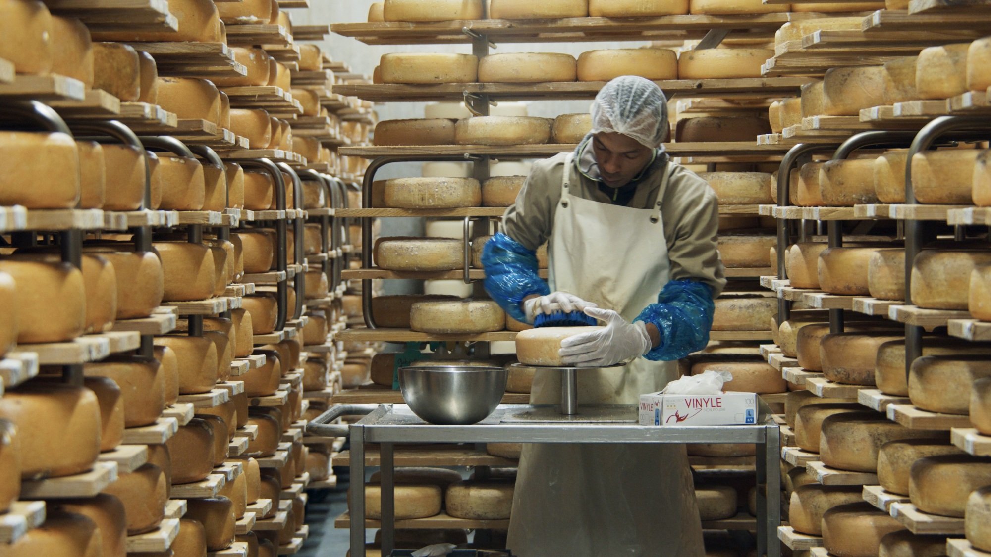 Un homme fabrique une meule de fromage dans une grotte à fromage.