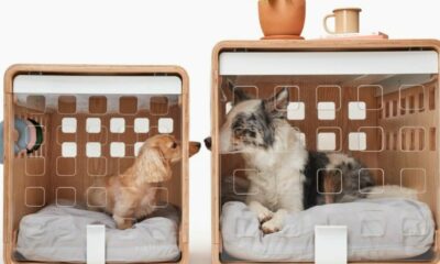 Économisez 20 % chez Fable Pets et offrez aux bons chiens une nouvelle cage, un nouveau jouet ou un nouveau lit