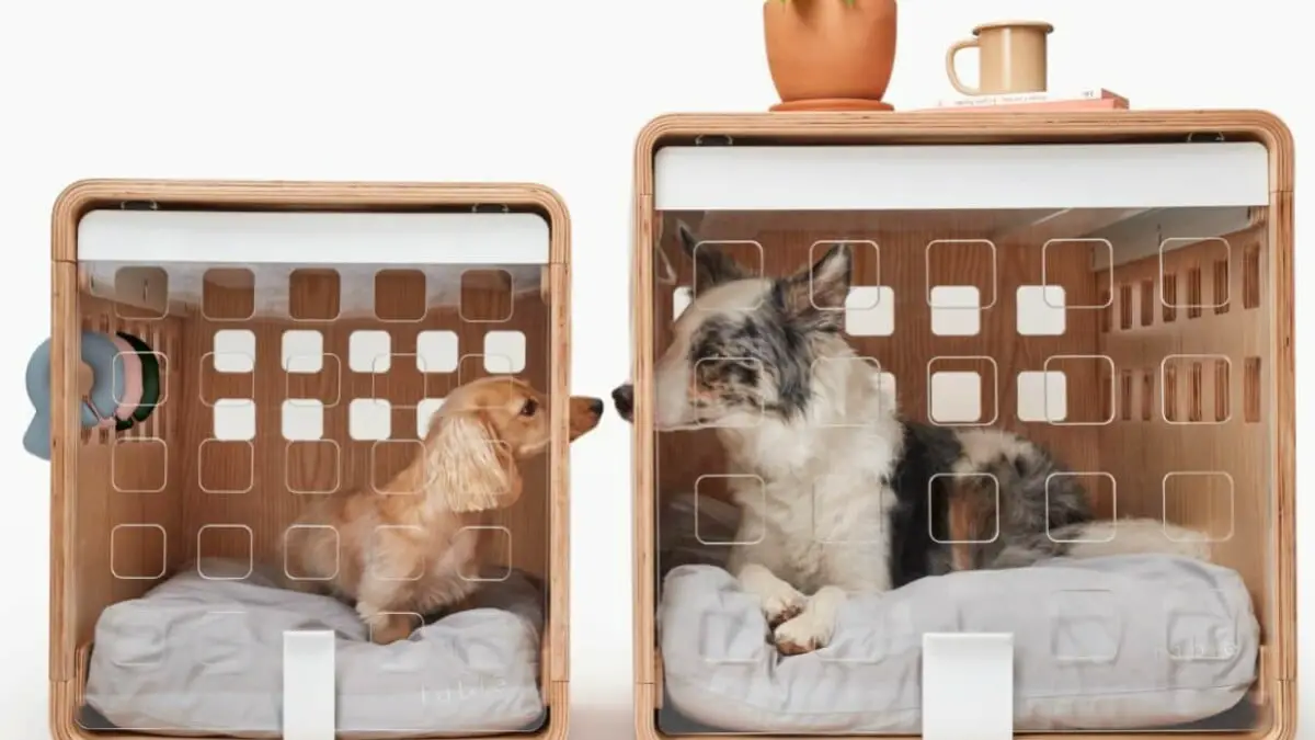 Économisez 20 % chez Fable Pets et offrez aux bons chiens une nouvelle cage, un nouveau jouet ou un nouveau lit