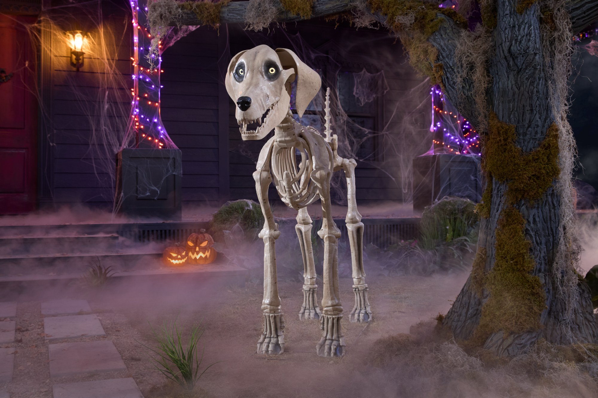 le 5 pieds.  Chien squelette de Home Depot devant une maison effrayante et enfumée