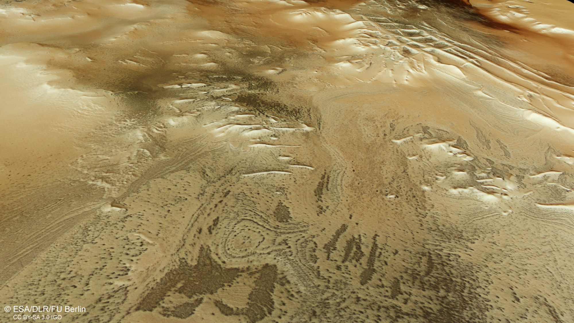 Les crêtes en forme de grille de la région d'Angustus Labyrinthus sur Mars.