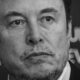 Le cas de Tesla sans Musk