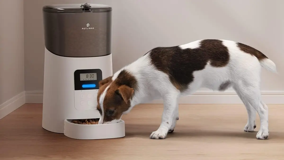 Obtenez une mangeoire automatique pour animaux de compagnie jusqu'à 36 $ de réduction avant la fin de l'Amazon Pet Day