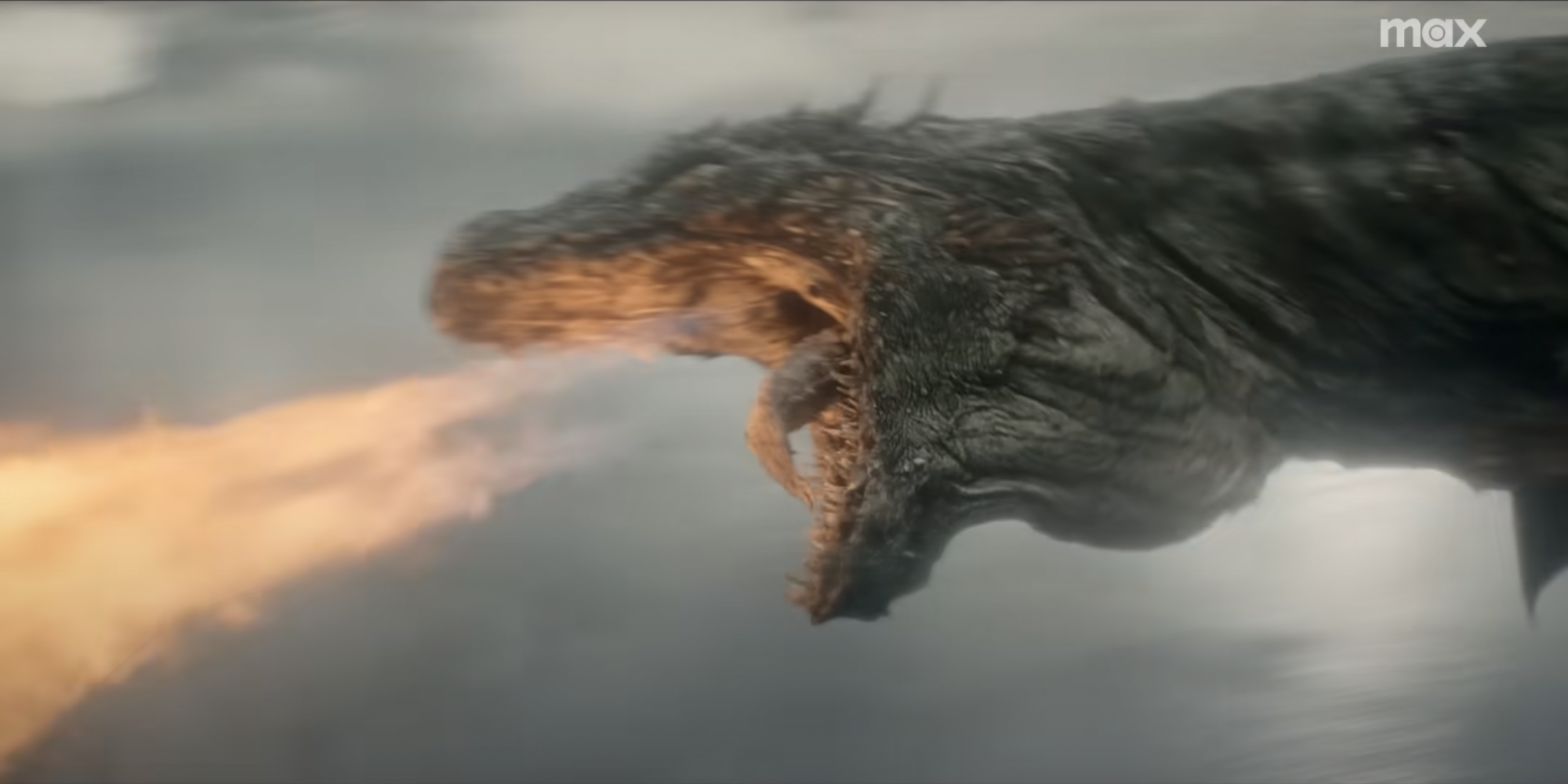 Un grand dragon noir crachant du feu.