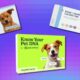Économisez jusqu'à 60 $ sur un kit ADN pour animaux de compagnie pendant les dernières heures de l'Amazon Pet Day