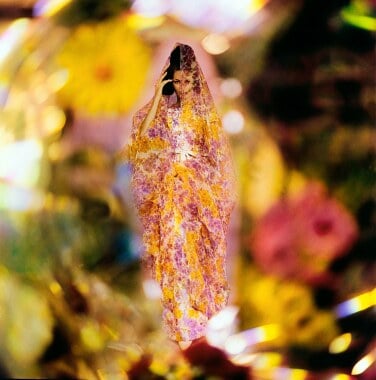 Image d'un mannequin portant une robe et un châle en soie, avec un fond floral flou.