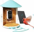 Mangeoire à oiseaux intelligente NETVUE Birdfy