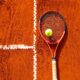 Comment regarder Dimitrov contre Sinner à Roland-Garros 2024 en ligne gratuitement